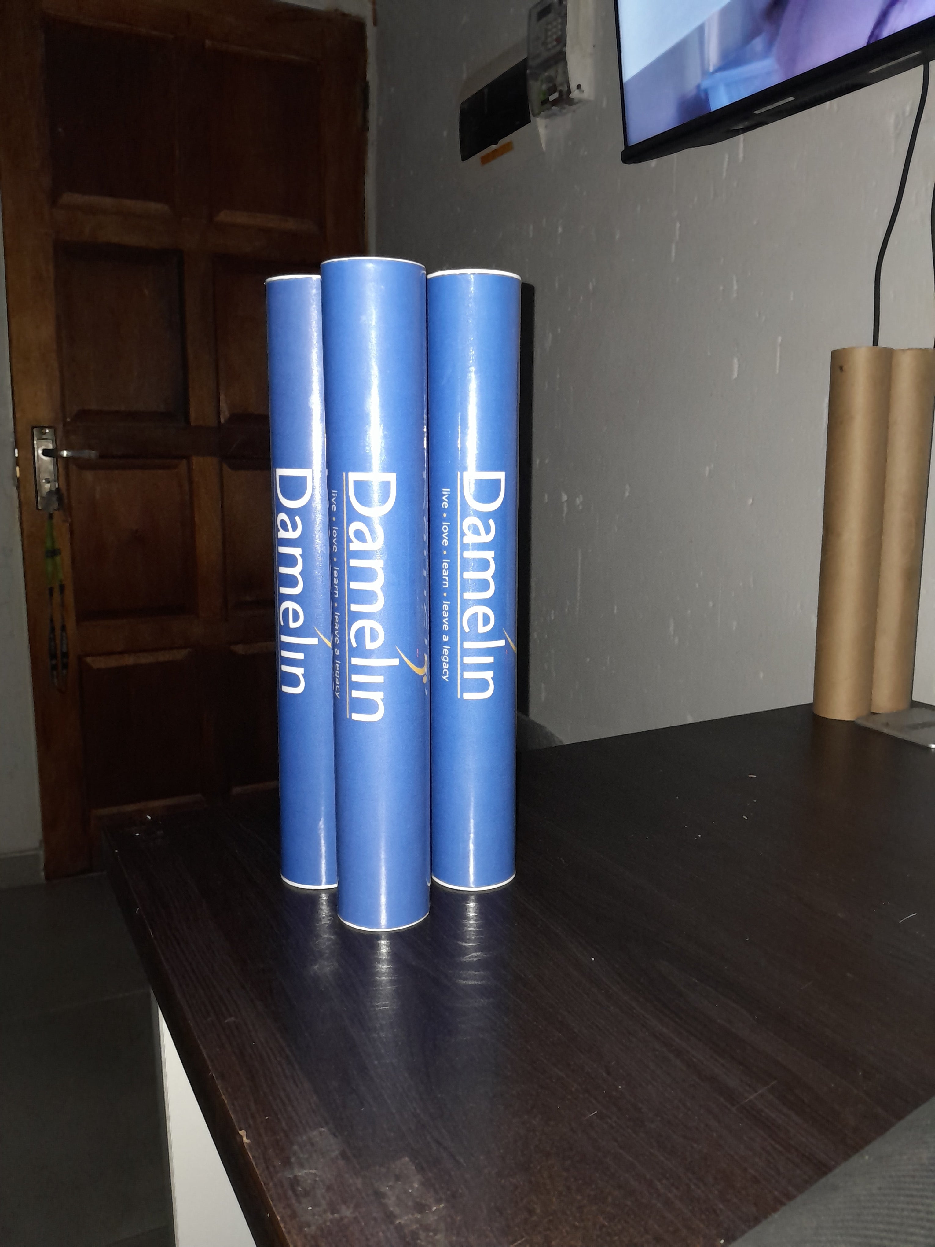 🎓 Premium Damelin Graduation Certificate Holder