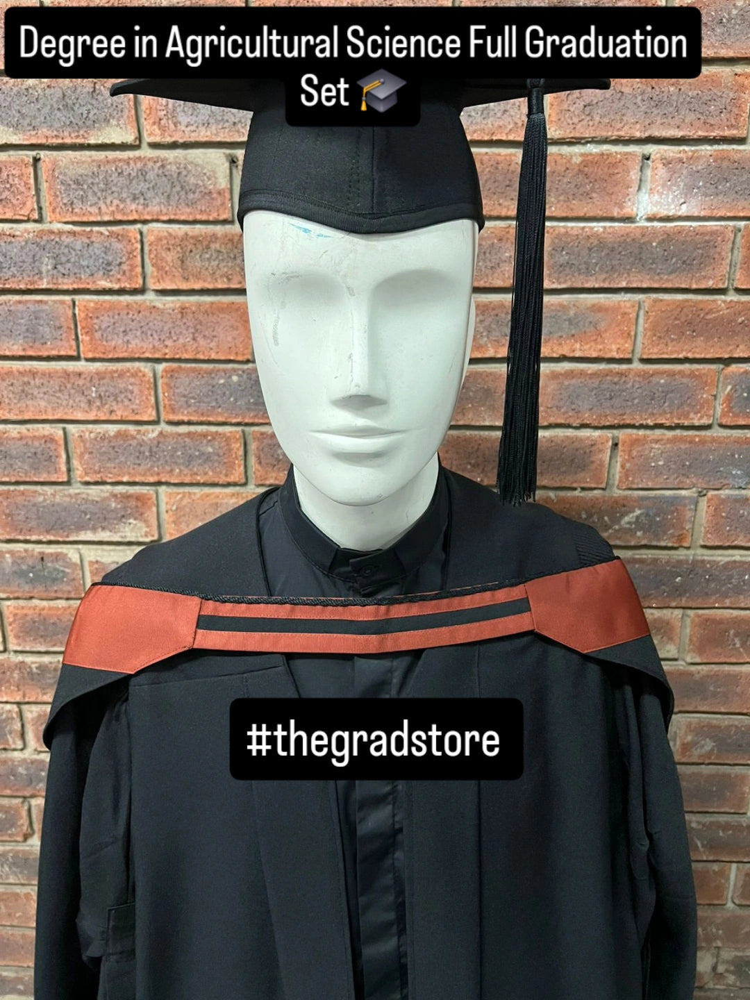 🎓Full Graduation Set