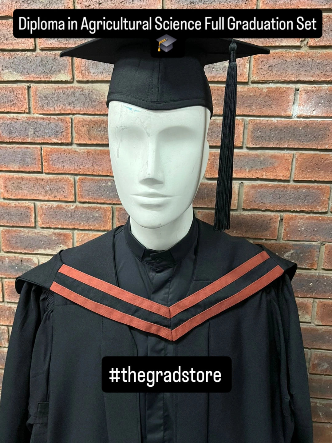 🎓Full Graduation Set